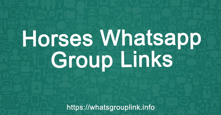Horses Whatsapp Group Links